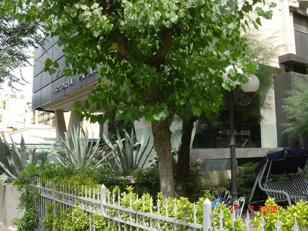 CattolicaHotelVictoriaPalace 100